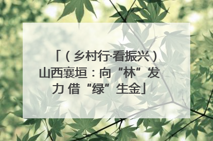 （乡村行·看振兴）山西襄垣：向“林”发力 借“绿”生金