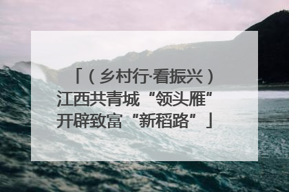 （乡村行·看振兴）江西共青城“领头雁”开辟致富“新稻路”