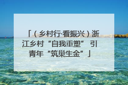 （乡村行·看振兴）浙江乡村“自我重塑” 引青年“筑巢生金”