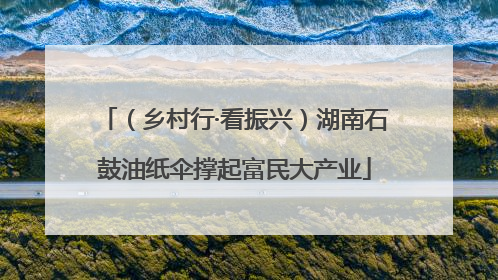 （乡村行·看振兴）湖南石鼓油纸伞撑起富民大产业