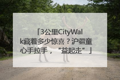 3公里CityWalk藏着多少惊喜？沪疆童心手拉手，“益起走”