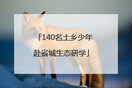140名土乡少年赴省城生态研学