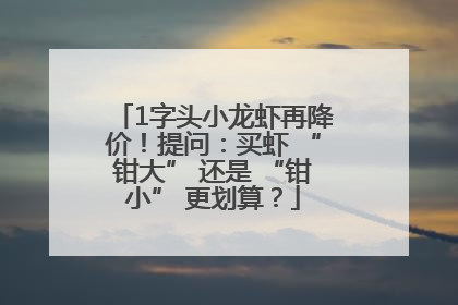 1字头小龙虾再降价！提问：买虾 “钳大” 还是 “钳小” 更划算？