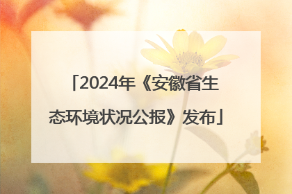 2024年《安徽省生态环境状况公报》发布