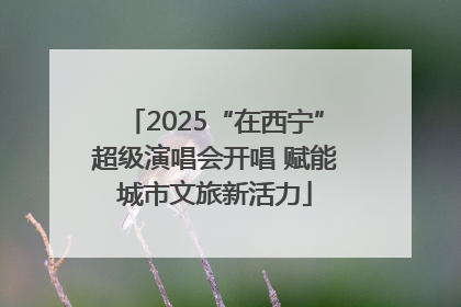 2025“在西宁”超级演唱会开唱 赋能城市文旅新活力