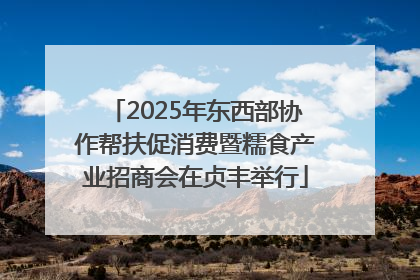 2025年东西部协作帮扶促消费暨糯食产业招商会在贞丰举行