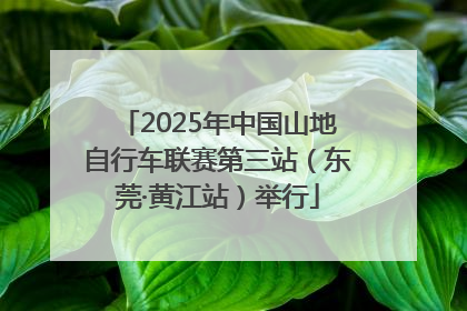 2025年中国山地自行车联赛第三站（东莞·黄江站）举行