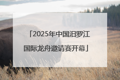2025年中国汨罗江国际龙舟邀请赛开幕