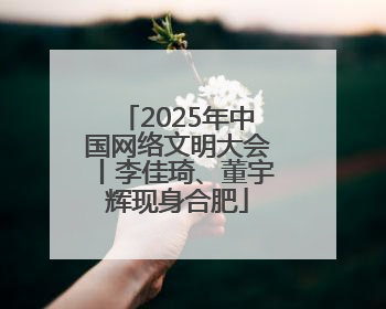 2025年中国网络文明大会丨李佳琦、董宇辉现身合肥