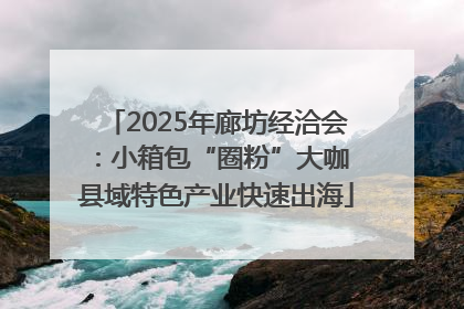 2025年廊坊经洽会：小箱包“圈粉”大咖 县域特色产业快速出海