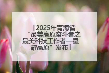2025年青海省“最美高原奋斗者之最美科技工作者—星耀高原”发布