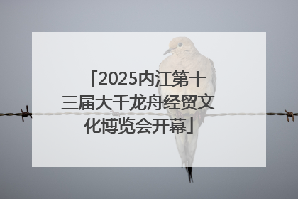 2025内江第十三届大千龙舟经贸文化博览会开幕
