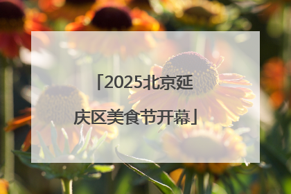 2025北京延庆区美食节开幕