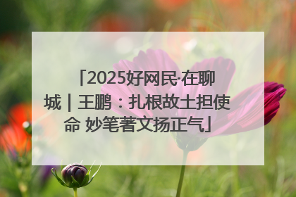 2025好网民·在聊城｜王鹏：扎根故土担使命 妙笔著文扬正气