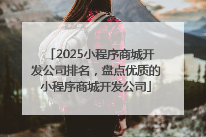 2025小程序商城开发公司排名，盘点优质的小程序商城开发公司