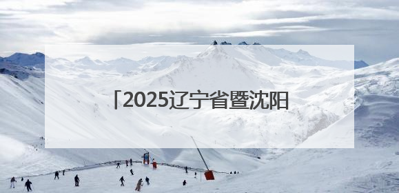 2025辽宁省暨沈阳市安全宣传咨询日“应急安全市集”火爆开市