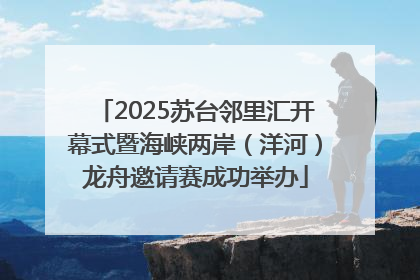 2025苏台邻里汇开幕式暨海峡两岸（洋河）龙舟邀请赛成功举办