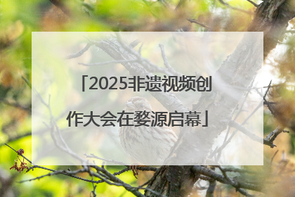 2025非遗视频创作大会在婺源启幕