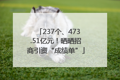237个、473.51亿元！晒晒招商引资“成绩单”