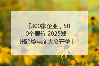 300家企业，500个展位 2025郑州跨境电商大会开幕