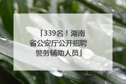339名！湖南省公安厅公开招聘警务辅助人员