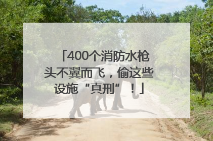 400个消防水枪头不翼而飞，偷这些设施“真刑”！