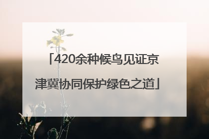 420余种候鸟见证京津冀协同保护绿色之道