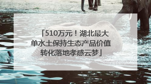 510万元！湖北最大单水土保持生态产品价值转化落地孝感云梦