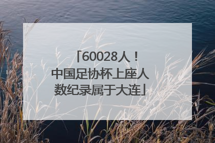 60028人！中国足协杯上座人数纪录属于大连