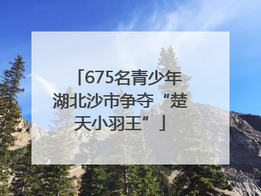 675名青少年湖北沙市争夺“楚天小羽王”