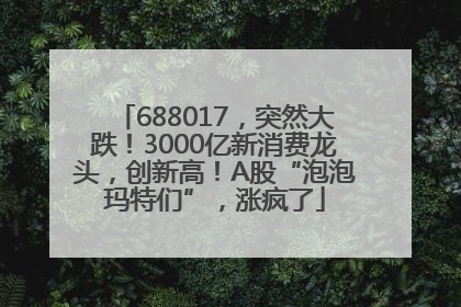 688017，突然大跌！3000亿新消费龙头，创新高！A股“泡泡玛特们”，涨疯了