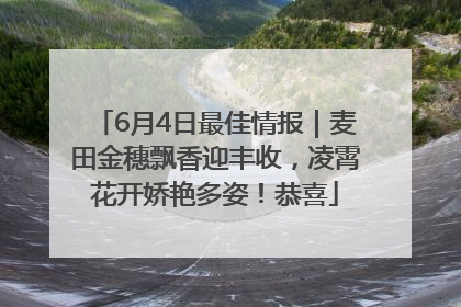 6月4日最佳情报｜麦田金穗飘香迎丰收，凌霄花开娇艳多姿！恭喜