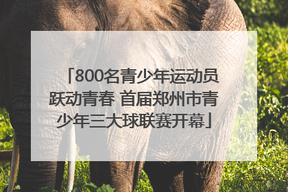 800名青少年运动员跃动青春 首届郑州市青少年三大球联赛开幕