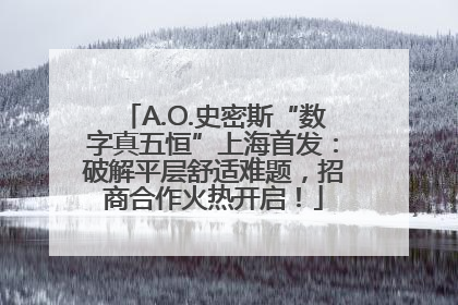A.O.史密斯“数字真五恒”上海首发：破解平层舒适难题，招商合作火热开启！