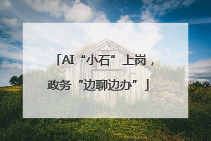 AI“小石”上岗，政务“边聊边办”