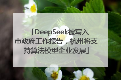 DeepSeek被写入市政府工作报告，杭州将支持算法模型企业发展