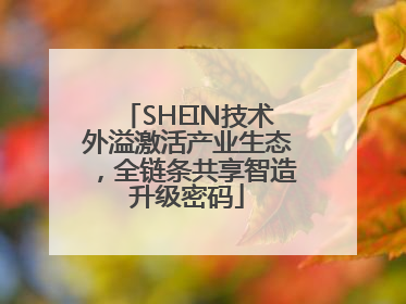 SHEIN技术外溢激活产业生态，全链条共享智造升级密码