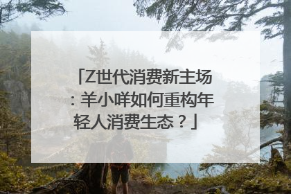 Z世代消费新主场：羊小咩如何重构年轻人消费生态？